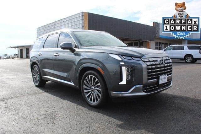 2024 Hyundai Palisade Calligraphy — photo 1 of 42