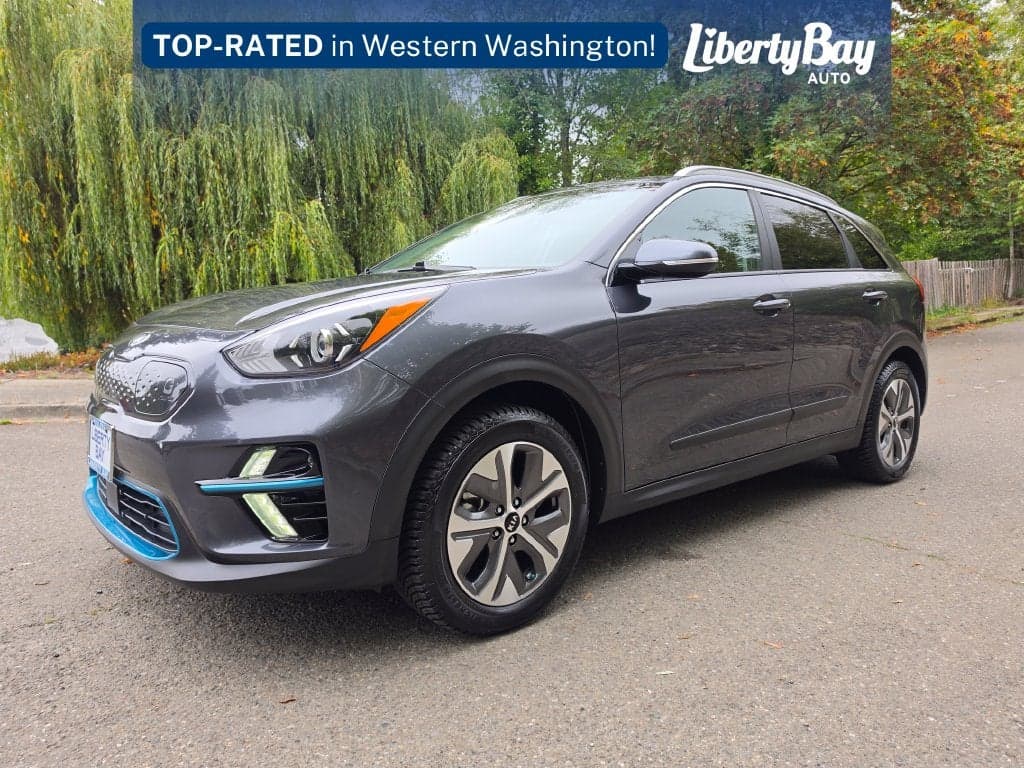 2020 Kia Niro EV EX Premium — photo 1 of 15