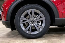 Extra Photo