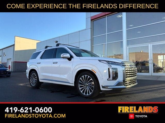 2025 Hyundai Palisade Calligraphy — photo 1 of 28