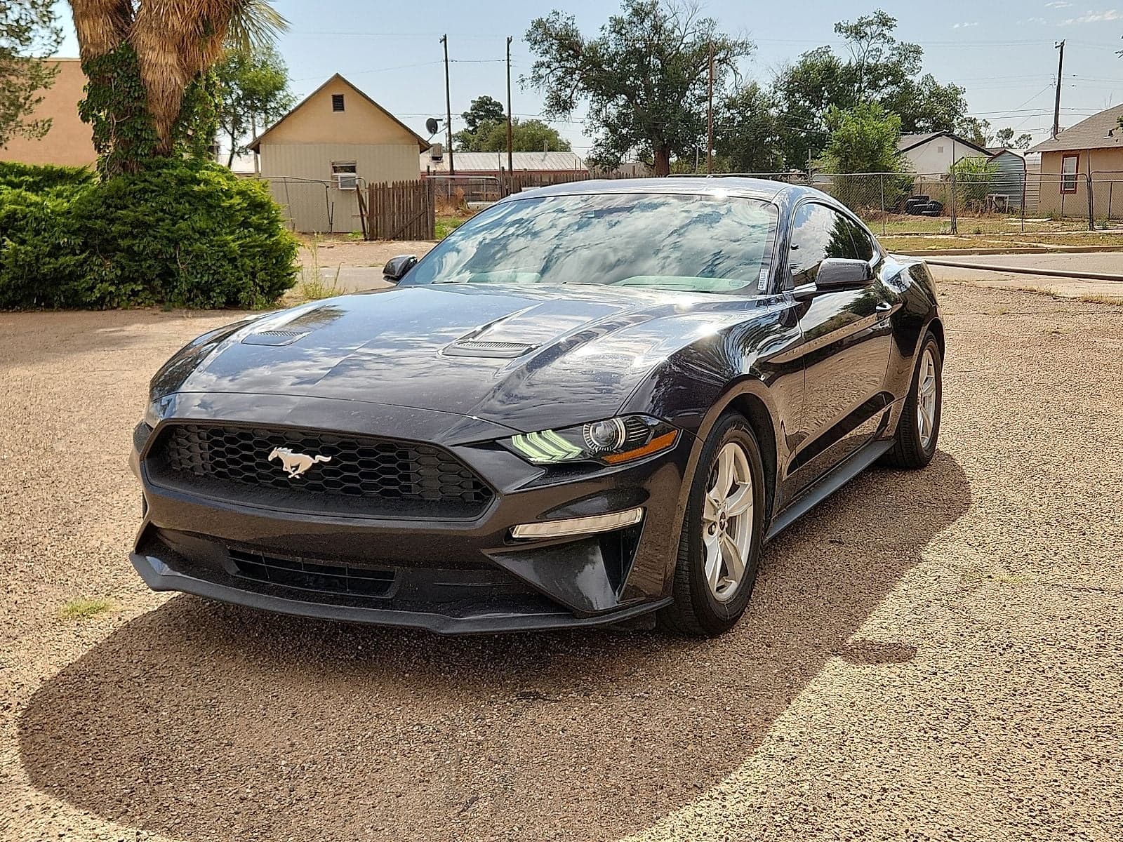2022 Ford Mustang EcoBoost — photo 1 of 36