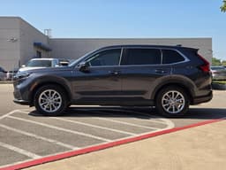 Extra Photo