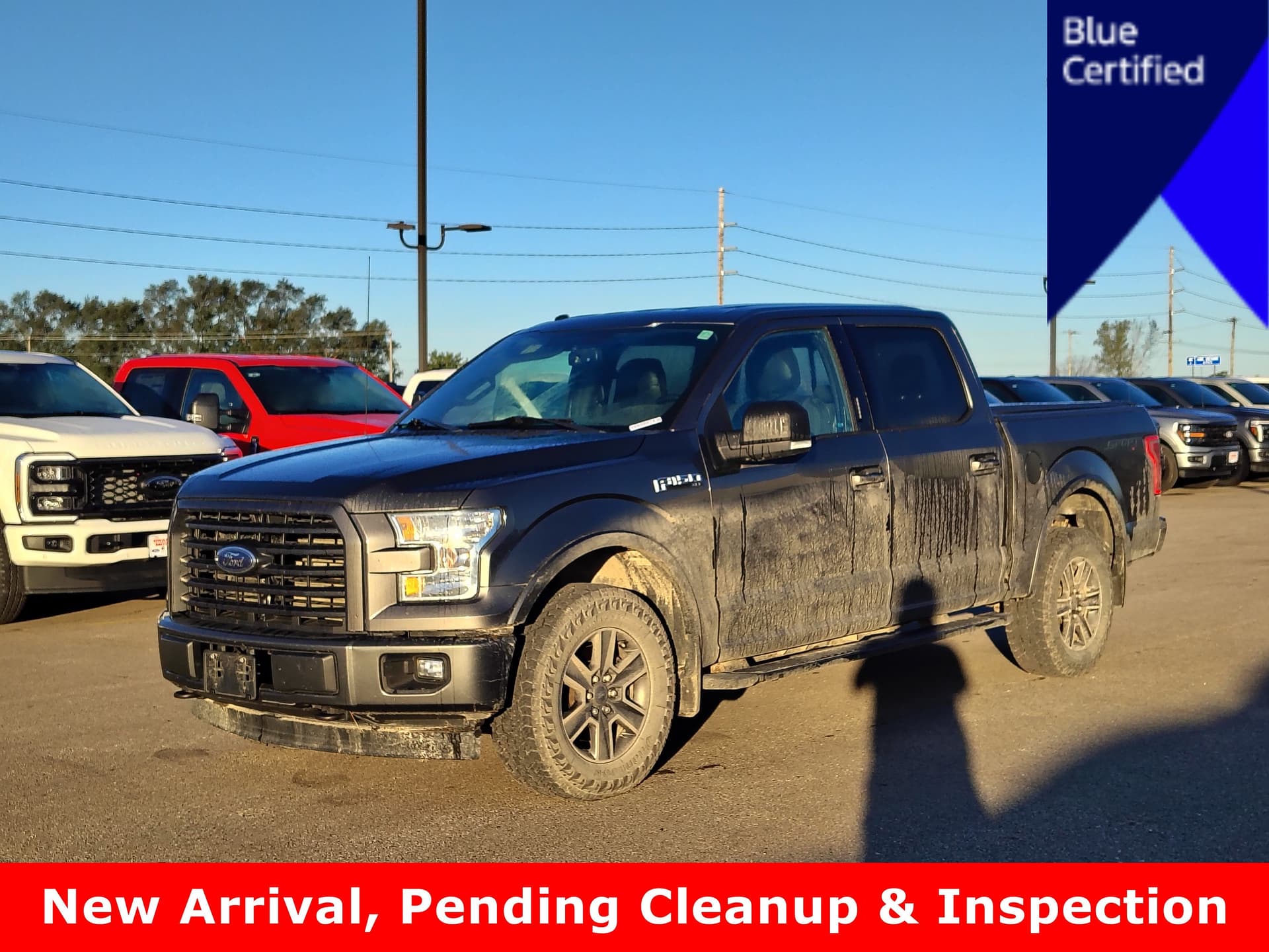 2017 Ford F-150 XLT — photo 1 of 2