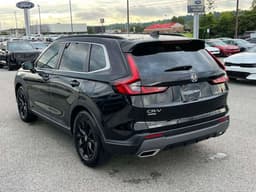 Extra Photo