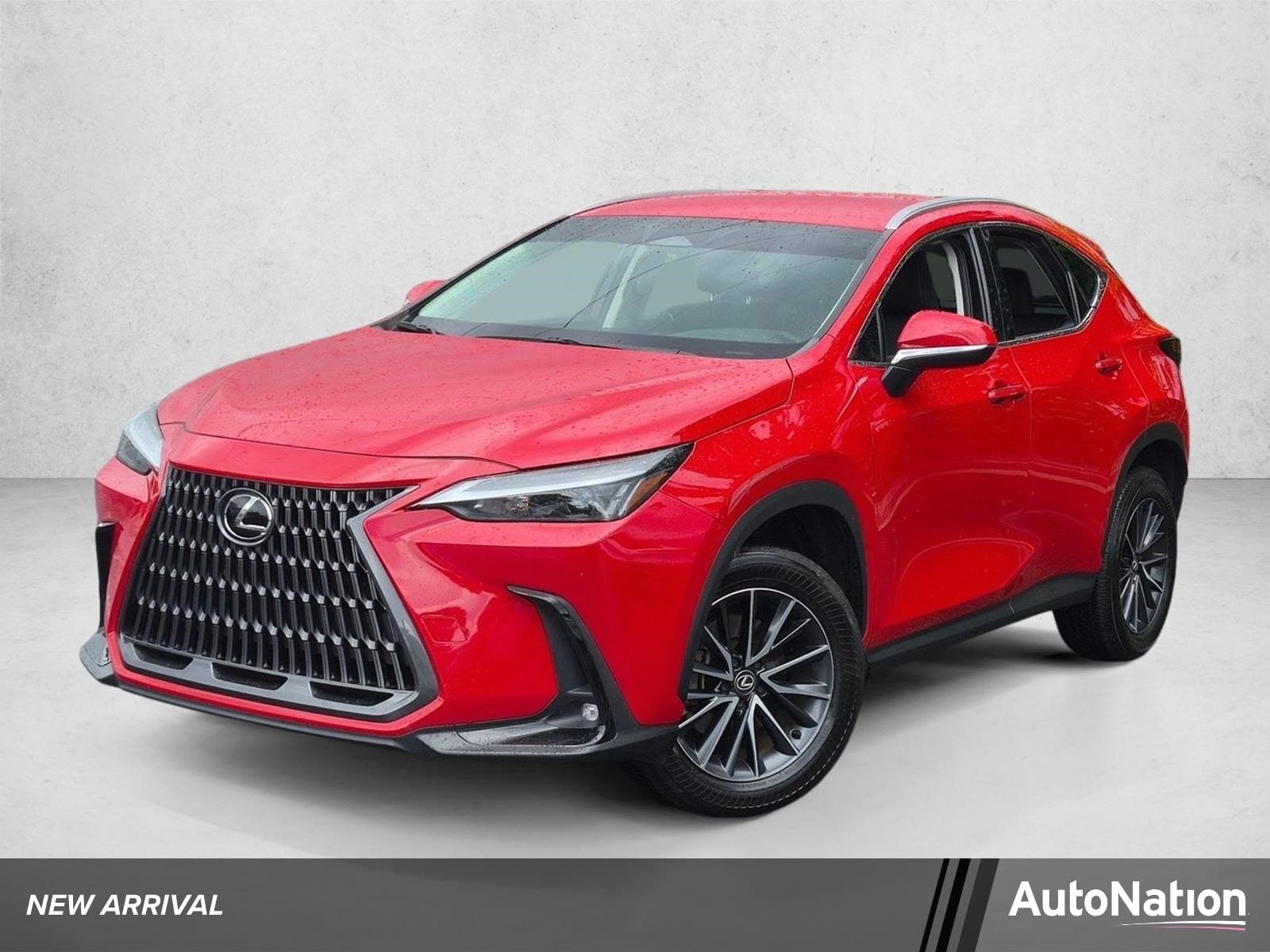 2024 Lexus NX NX 250 — photo 1 of 23