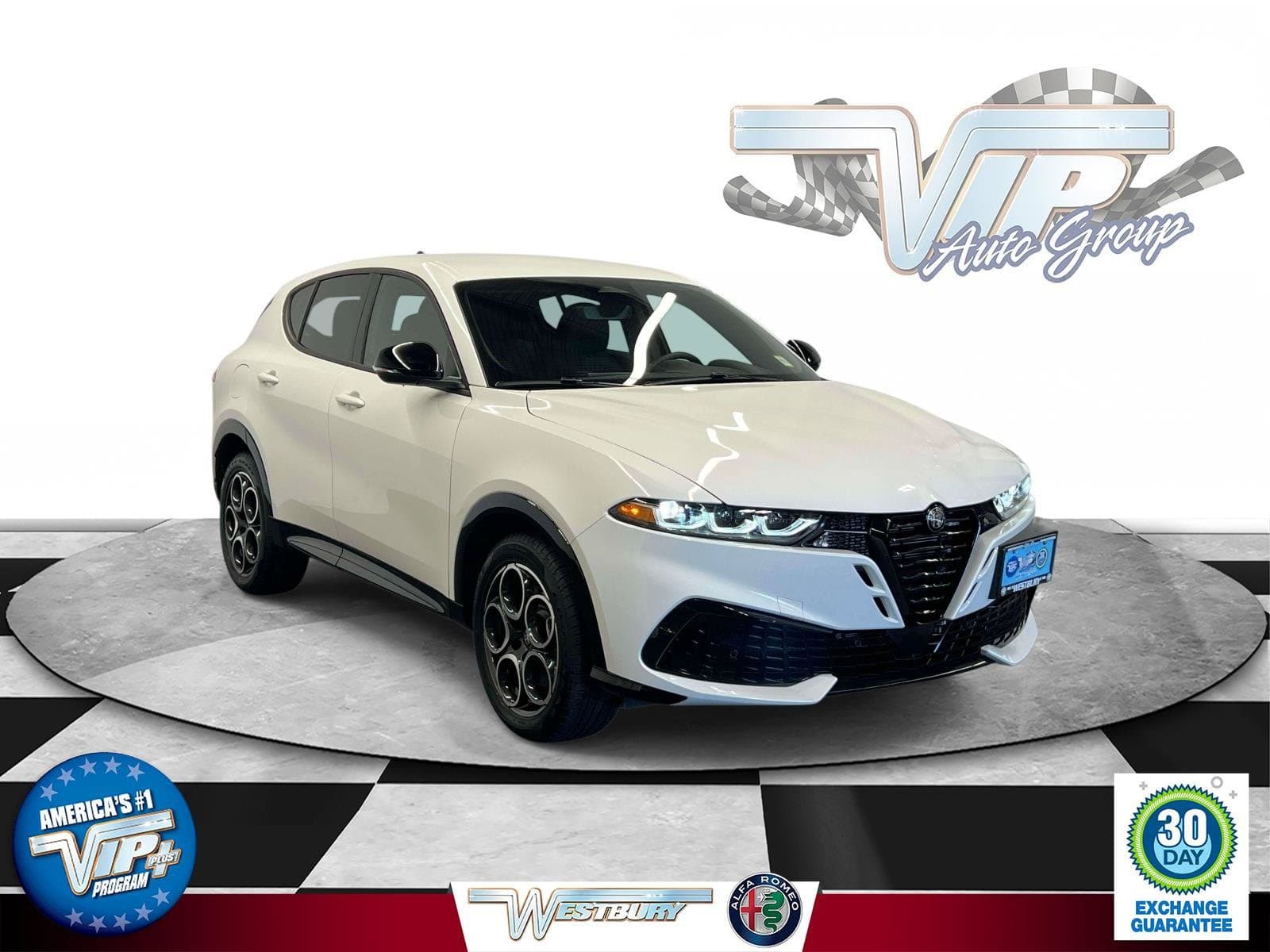 Vehicle Detail Icon