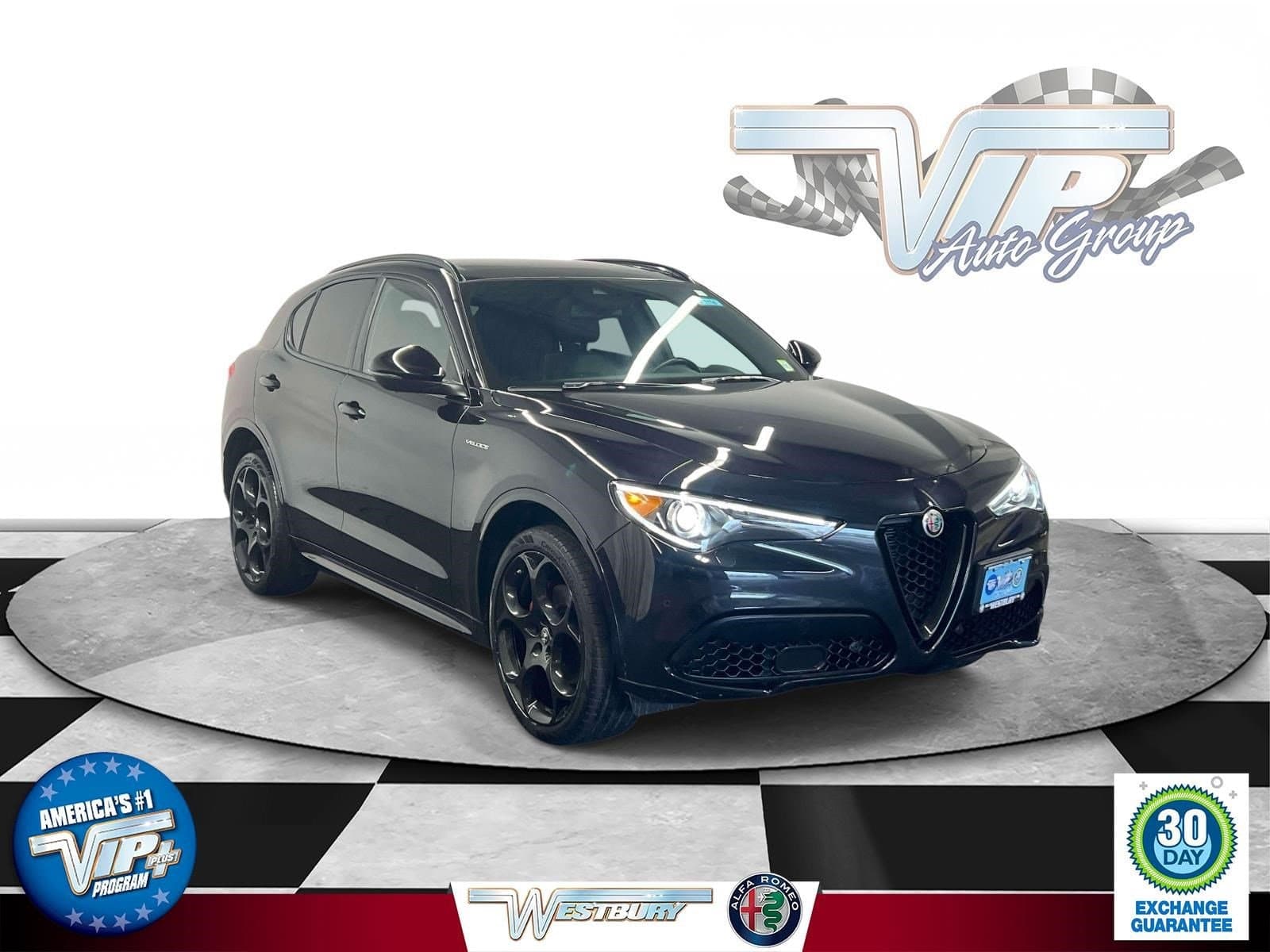 Vehicle Detail Icon