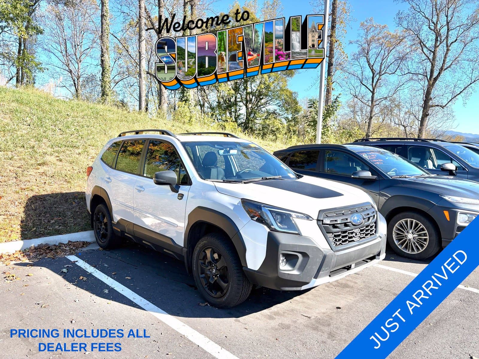2022 Subaru Forester Wilderness — photo 1 of 10