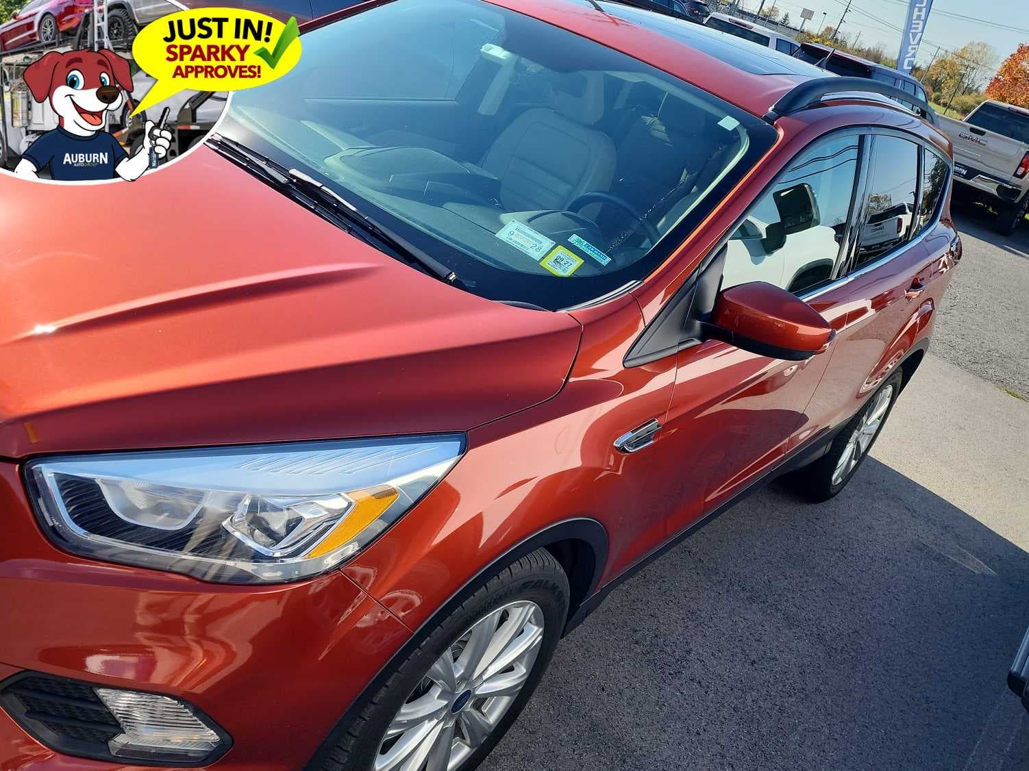 2019 Ford Escape SEL — photo 1 of 11