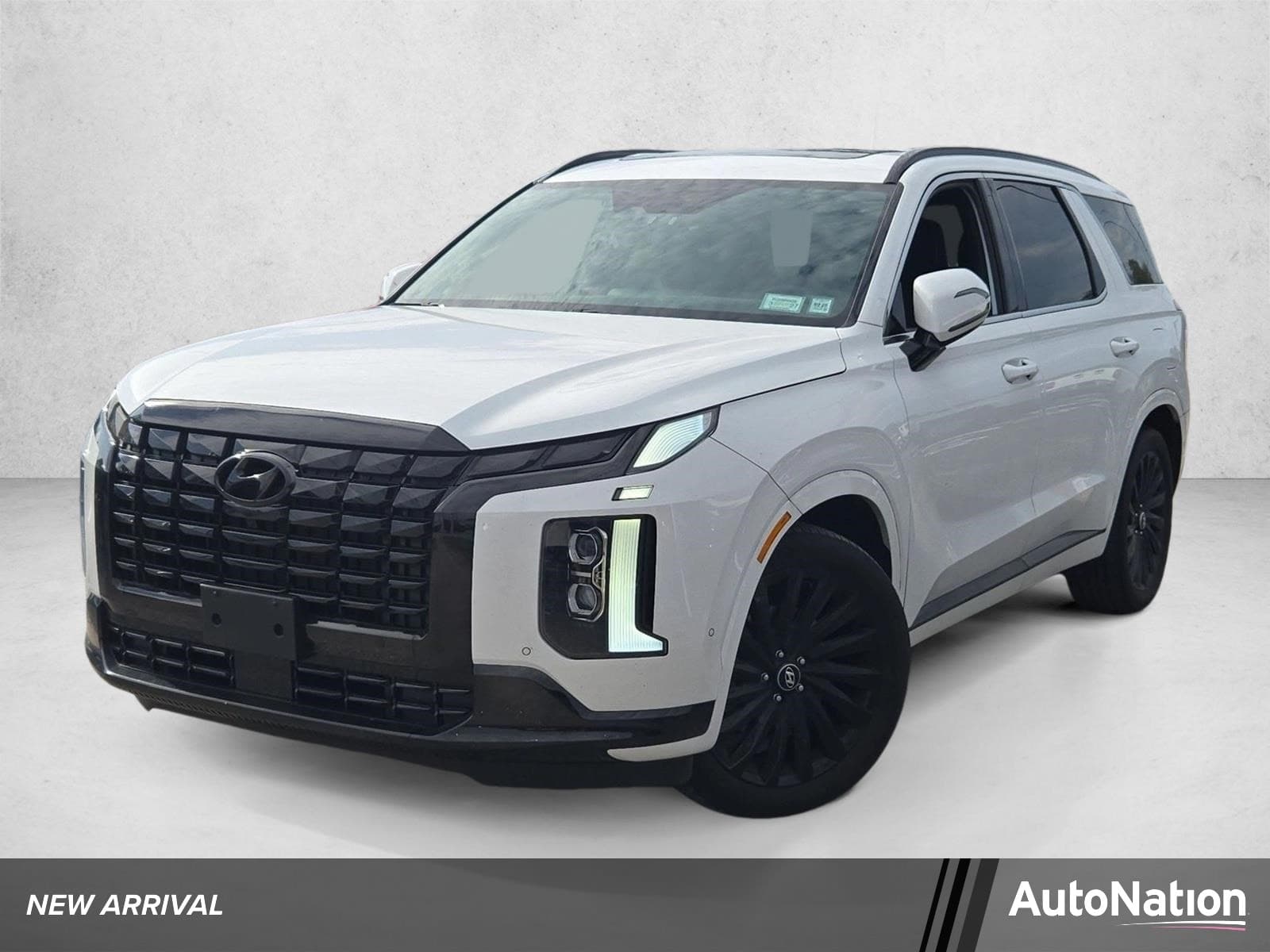 2024 Hyundai Palisade Calligraphy Night Edition — photo 1 of 15
