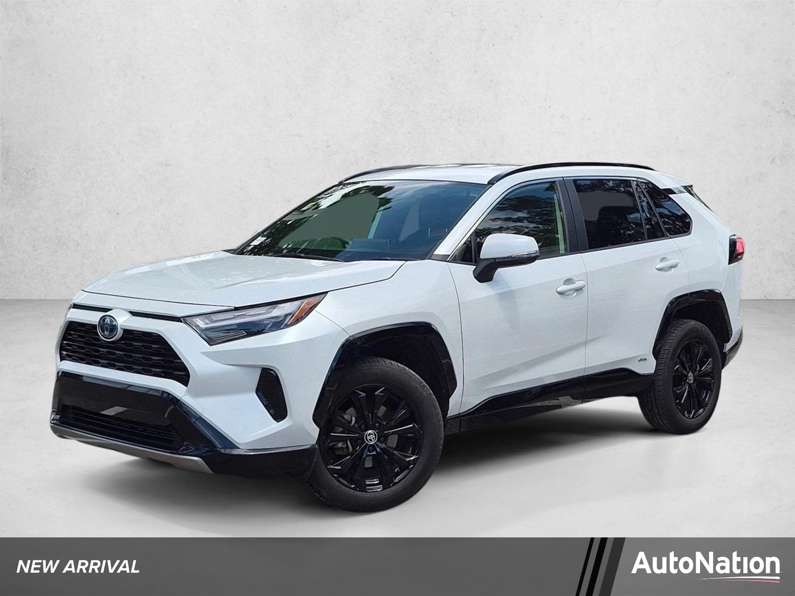 2024 Toyota RAV4 Hybrid SE — photo 1 of 15
