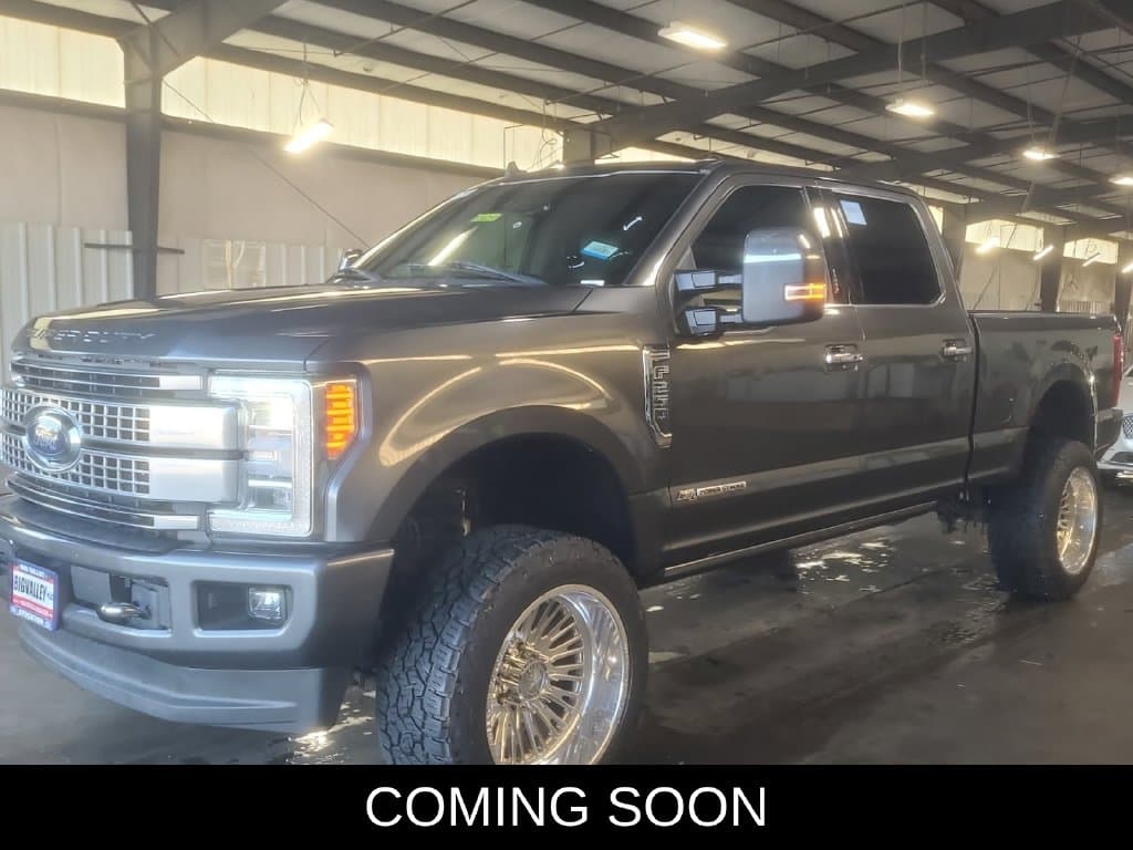 2019 Ford Super Duty F-250 SRW Platinum — photo 1 of 4
