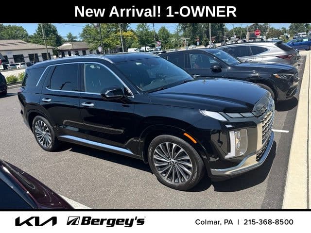 2025 Hyundai Palisade Calligraphy — photo 1 of 16