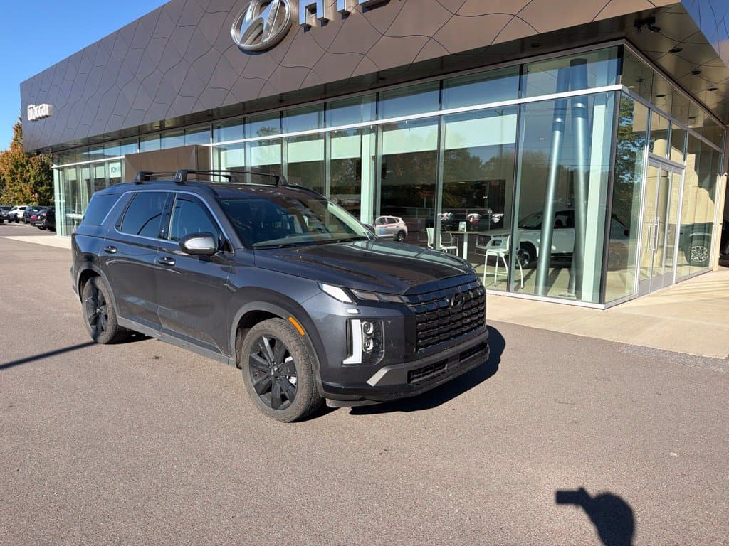 2025 Hyundai Palisade XRT — photo 1 of 18