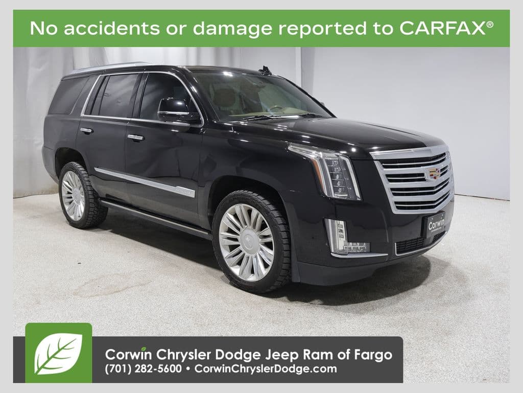 2020 Cadillac Escalade Platinum — photo 1 of 48