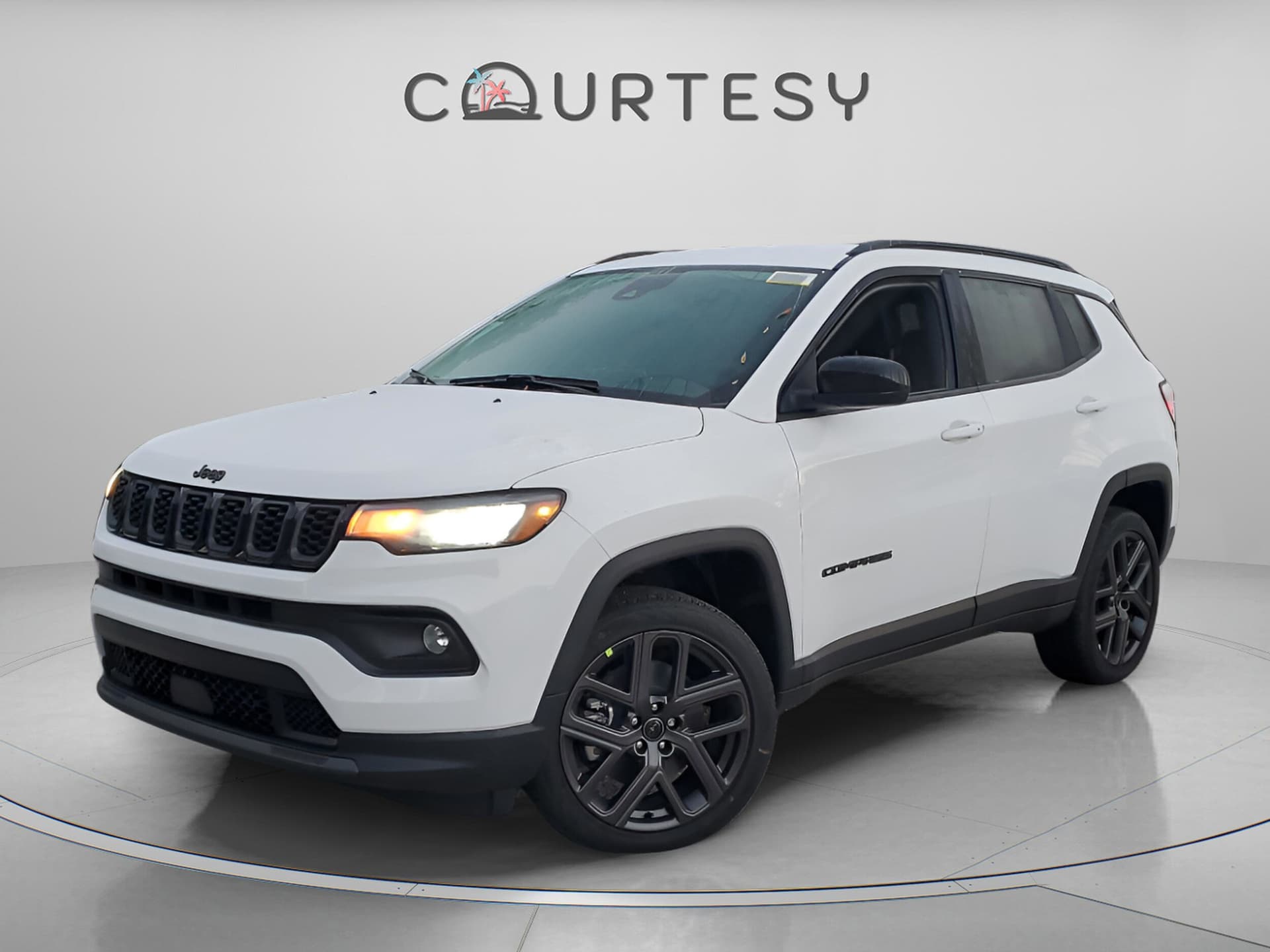 Vehicle Detail Icon