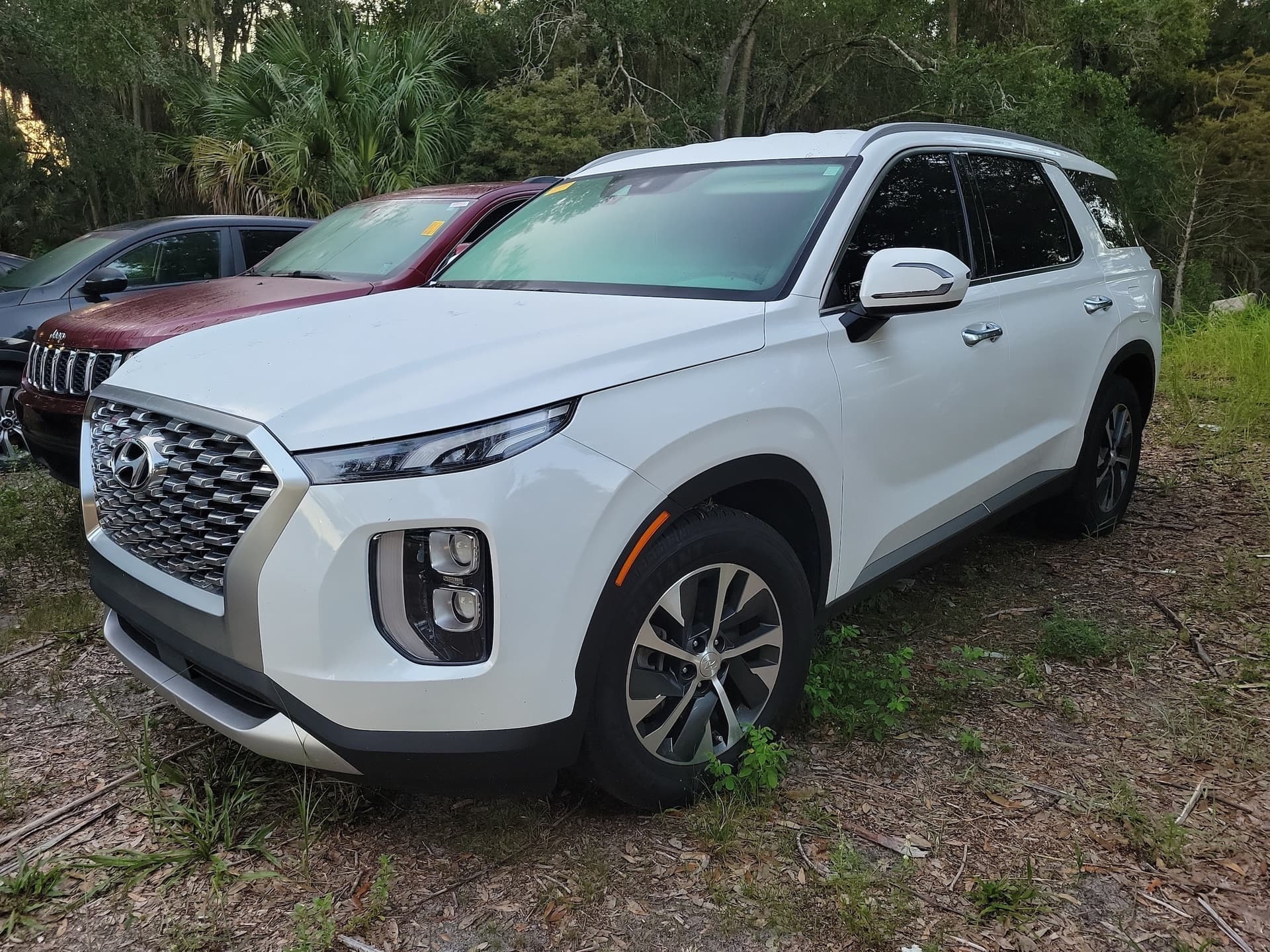 2020 Hyundai Palisade SEL — photo 1 of 32