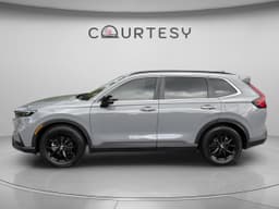 Extra Photo