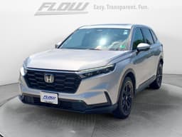 Extra Photo