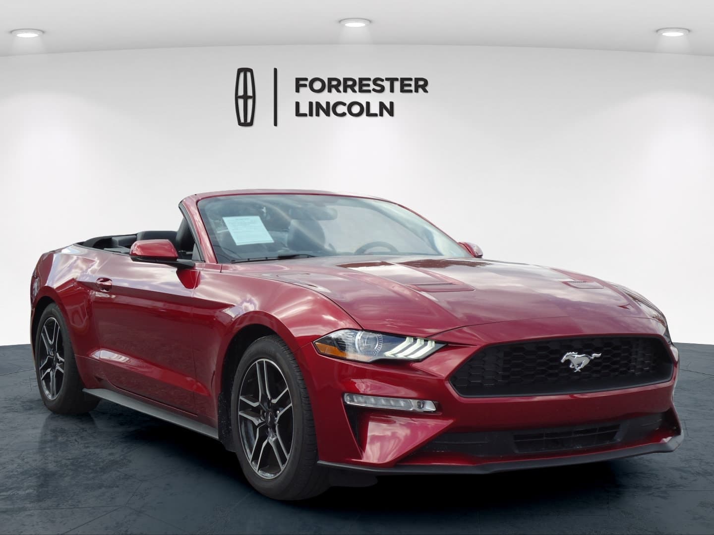 2019 Ford Mustang Ecoboost Premium — photo 1 of 29