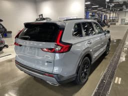 Extra Photo