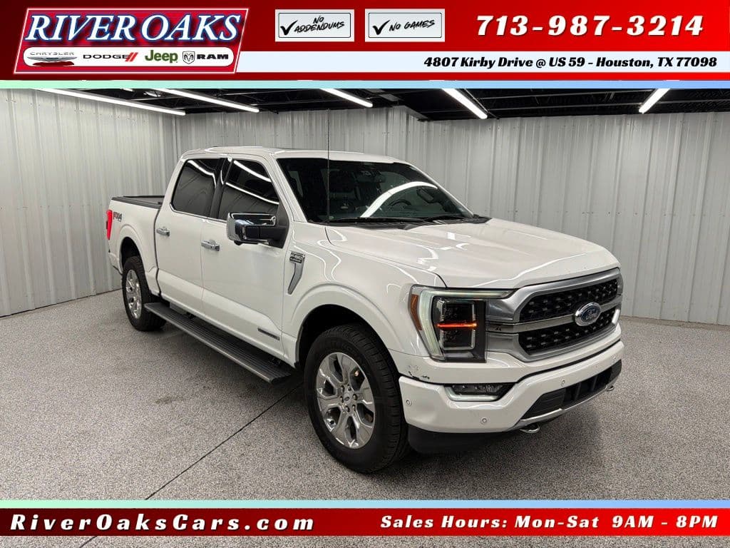 2022 Ford F-150 Platinum — photo 1 of 16