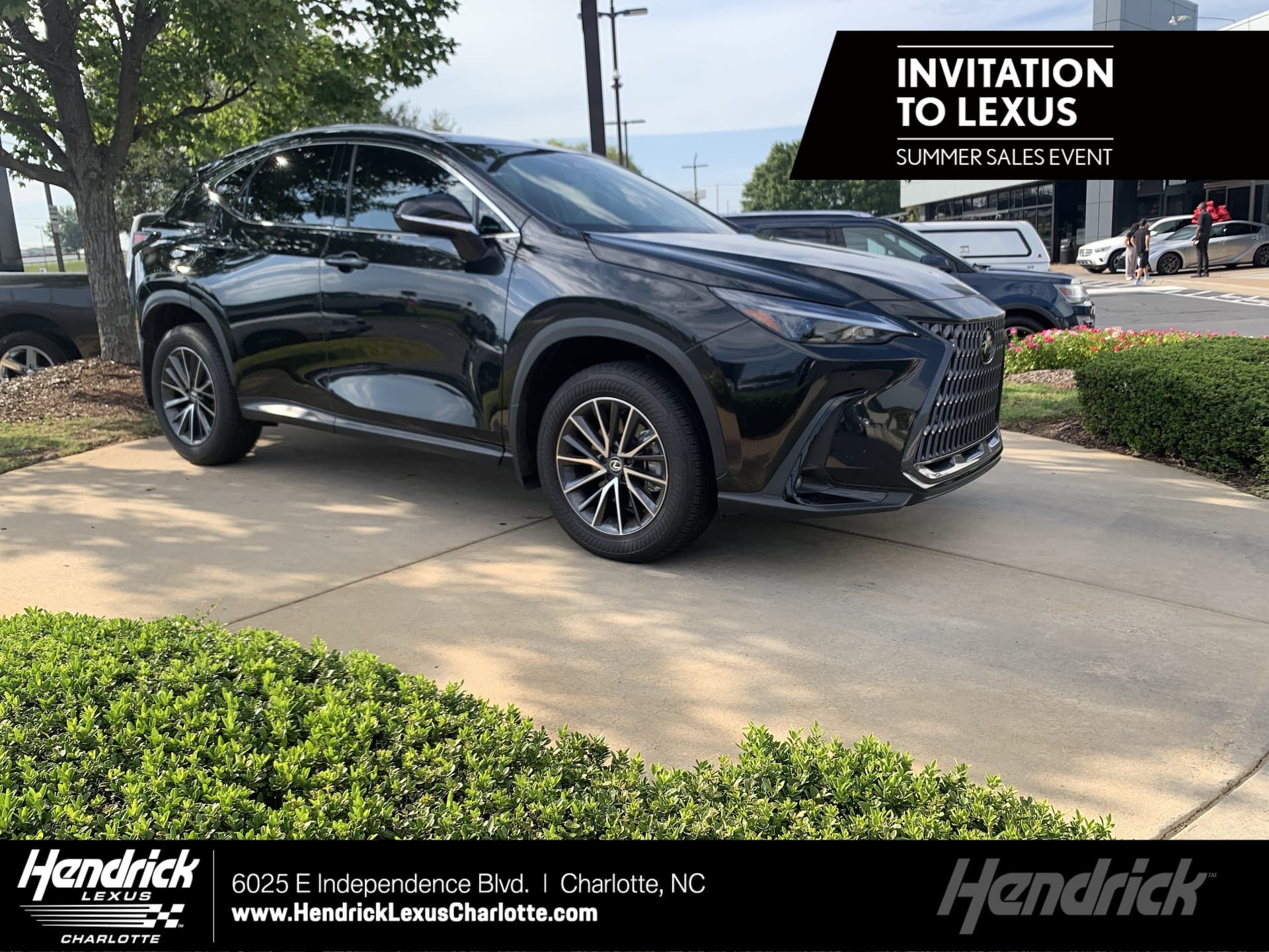 2024 Lexus NX NX 250 Premium — photo 1 of 36