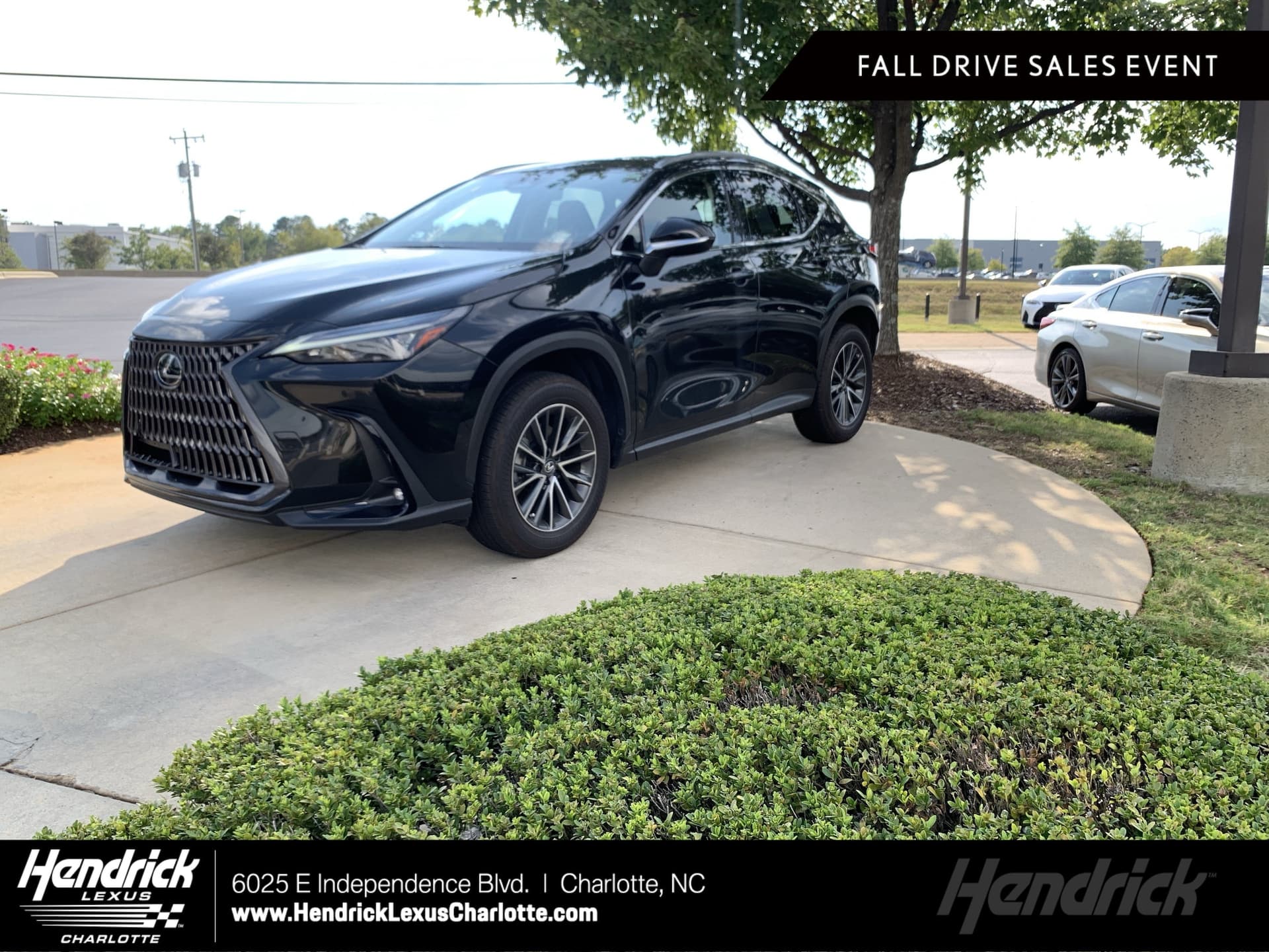 2025 Lexus NX NX 350h Premium — photo 1 of 32