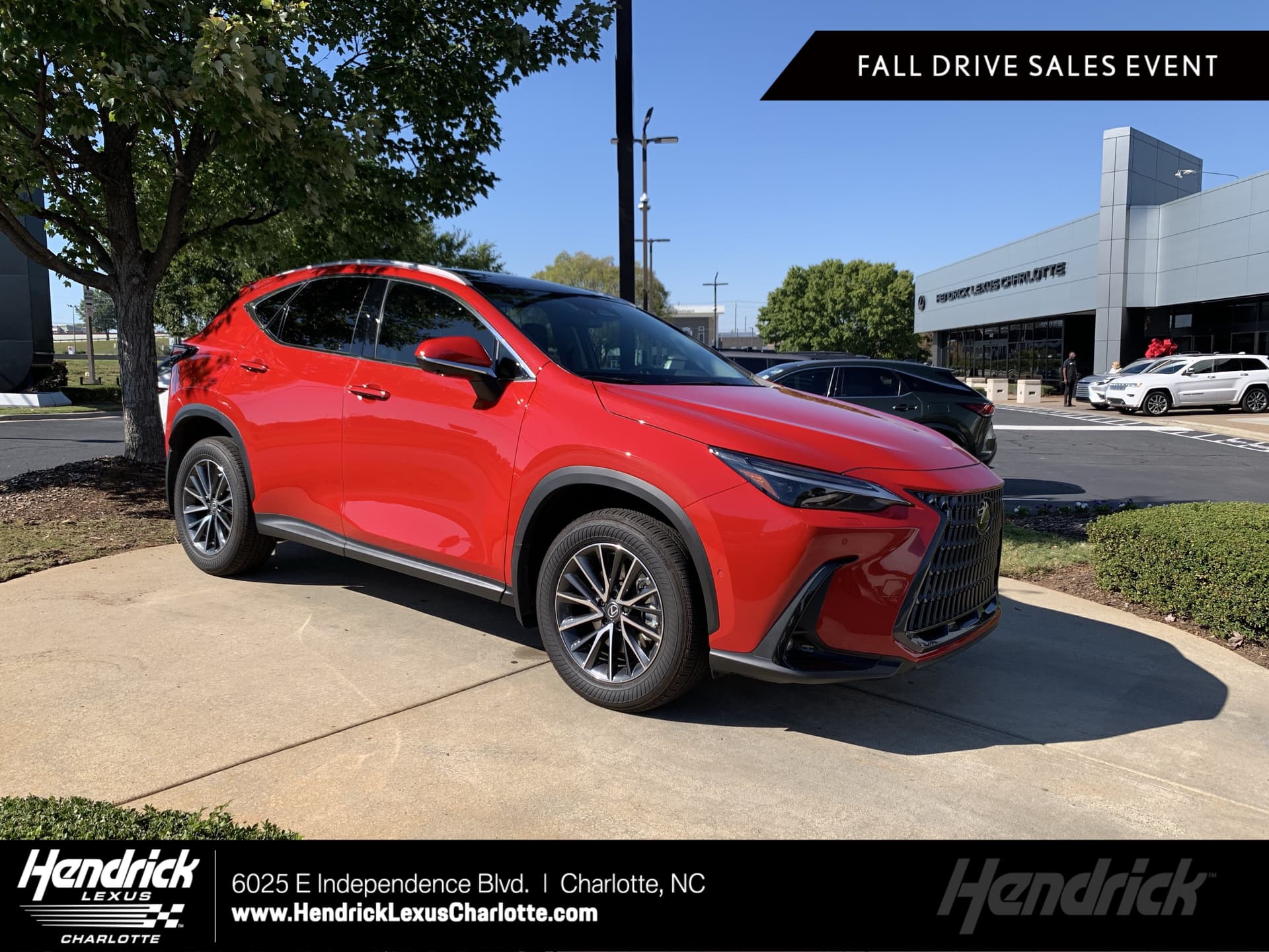 2025 Lexus NX Base — photo 1 of 36