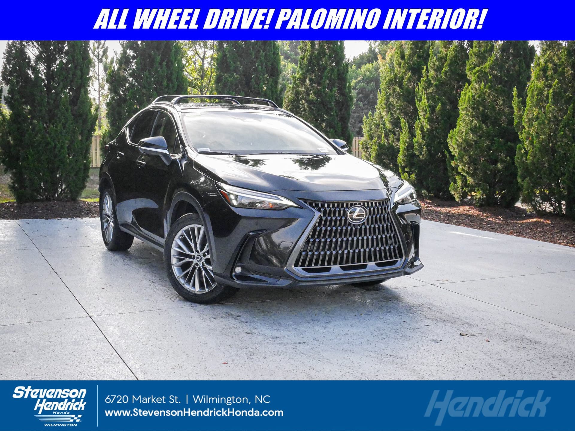2025 Lexus NX NX 350 Premium — photo 1 of 37