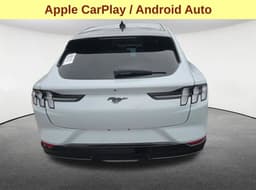 Extra Photo