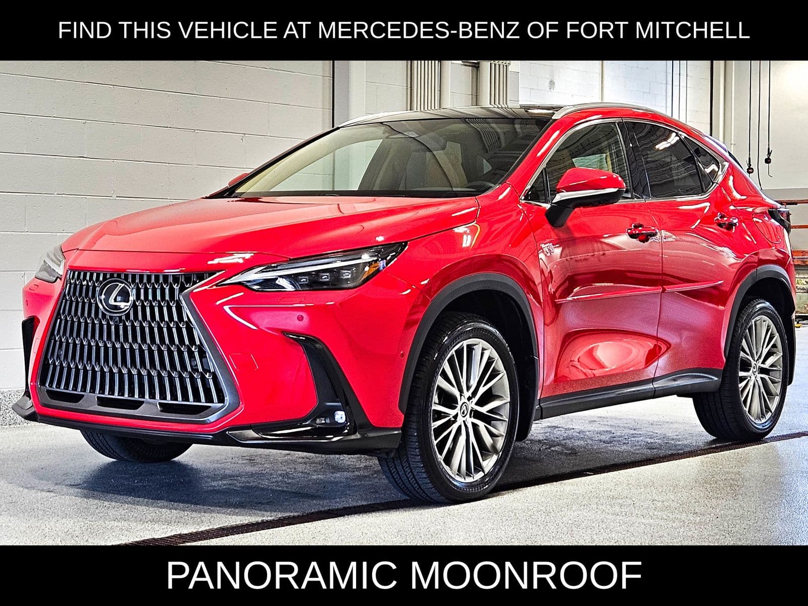 2024 Lexus NX 350h Luxury — photo 1 of 35