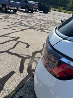 Extra Photo
