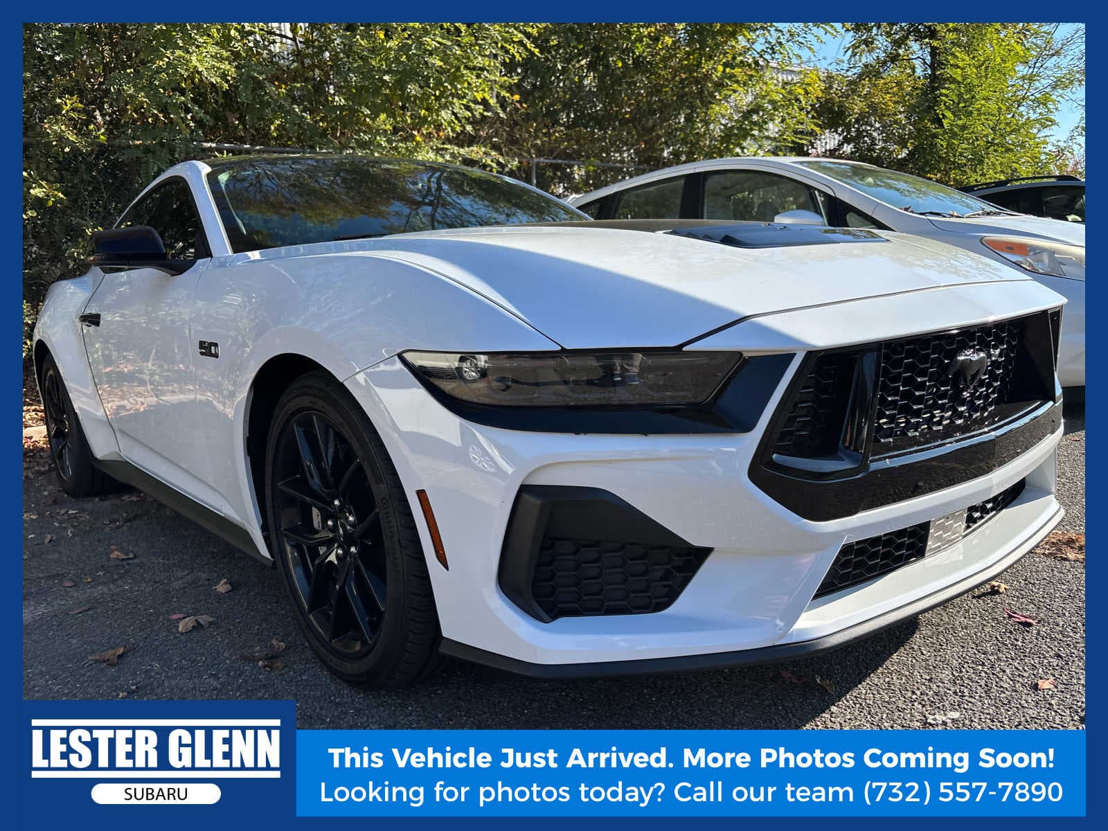 2024 Ford Mustang GT Premium — photo 1 of 5