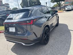 Extra Photo