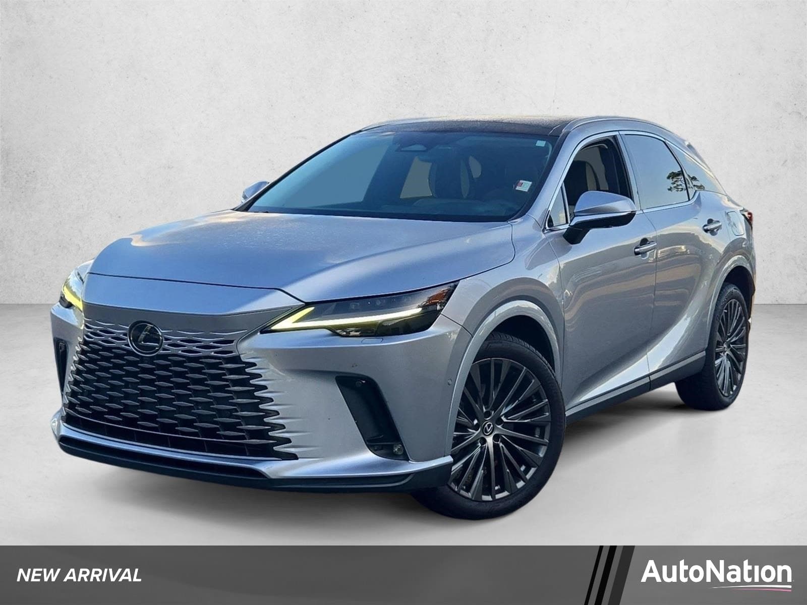 2024 Lexus RX 350 Luxury — photo 1 of 16