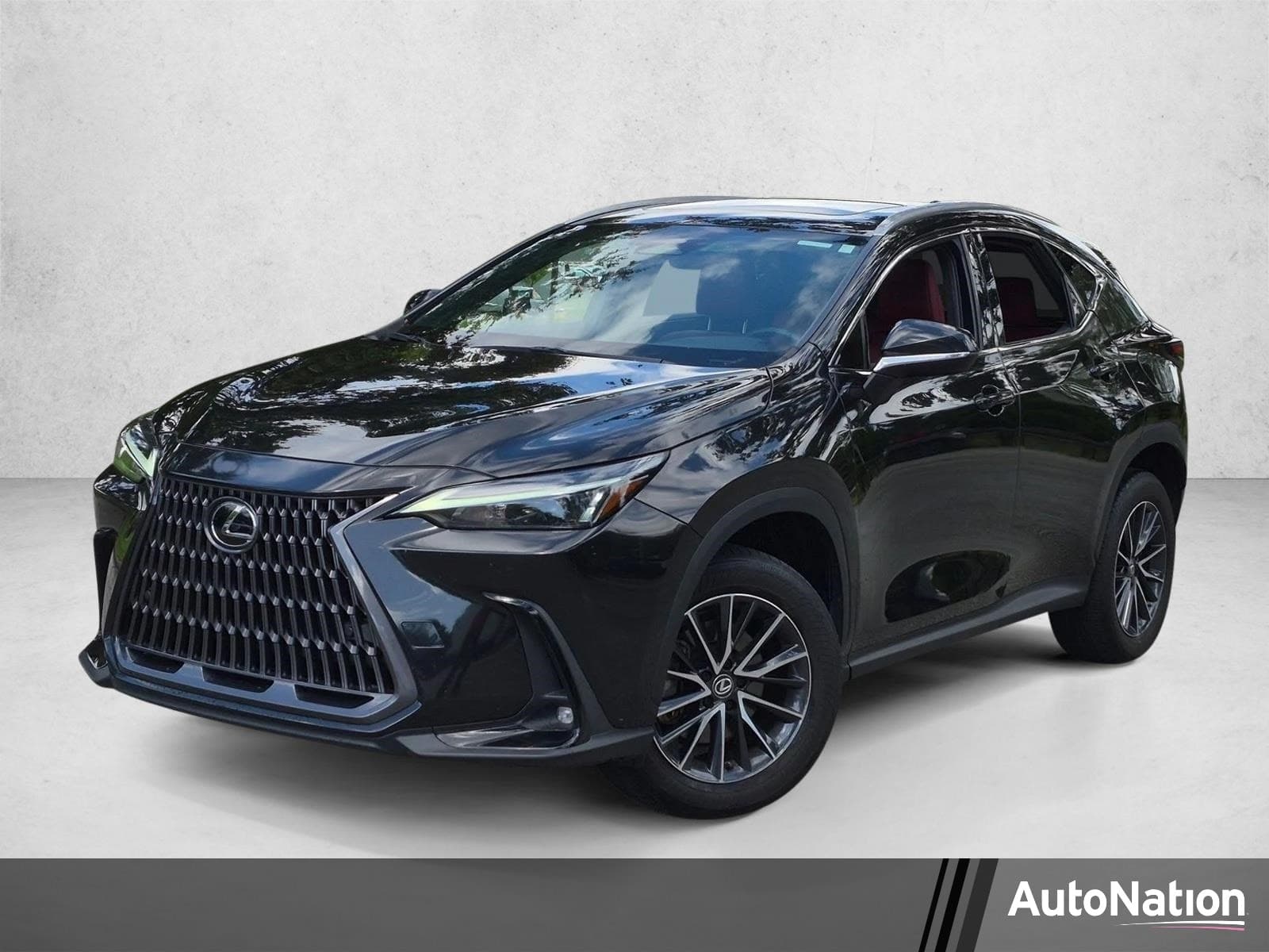 2024 Lexus NX 250 Premium — photo 1 of 22