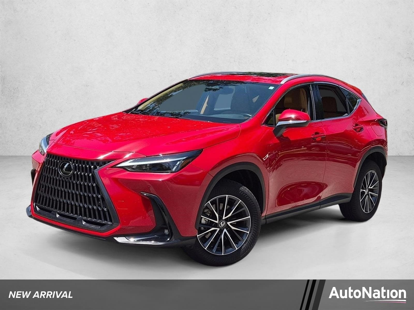 2025 Lexus NX 250 Premium — photo 1 of 19