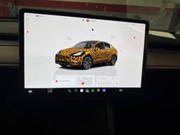 Extra Photo