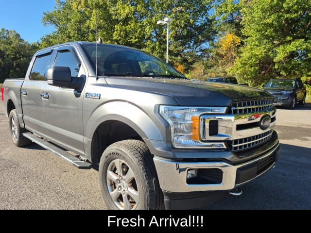 2019 Ford F-150 XLT — photo 1 of 15