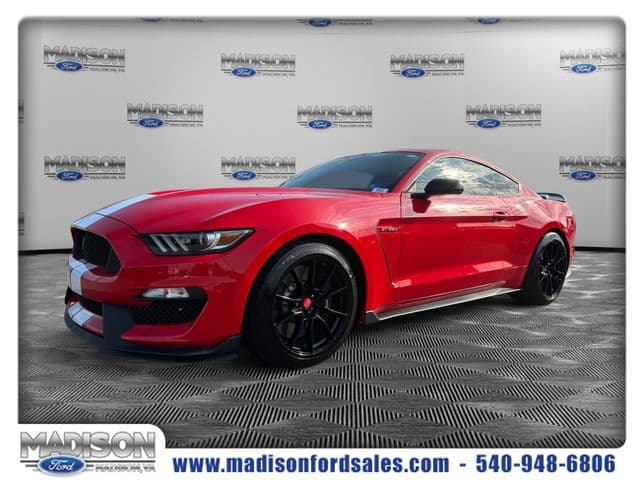 2019 Ford Mustang Shelby GT350 — photo 1 of 20