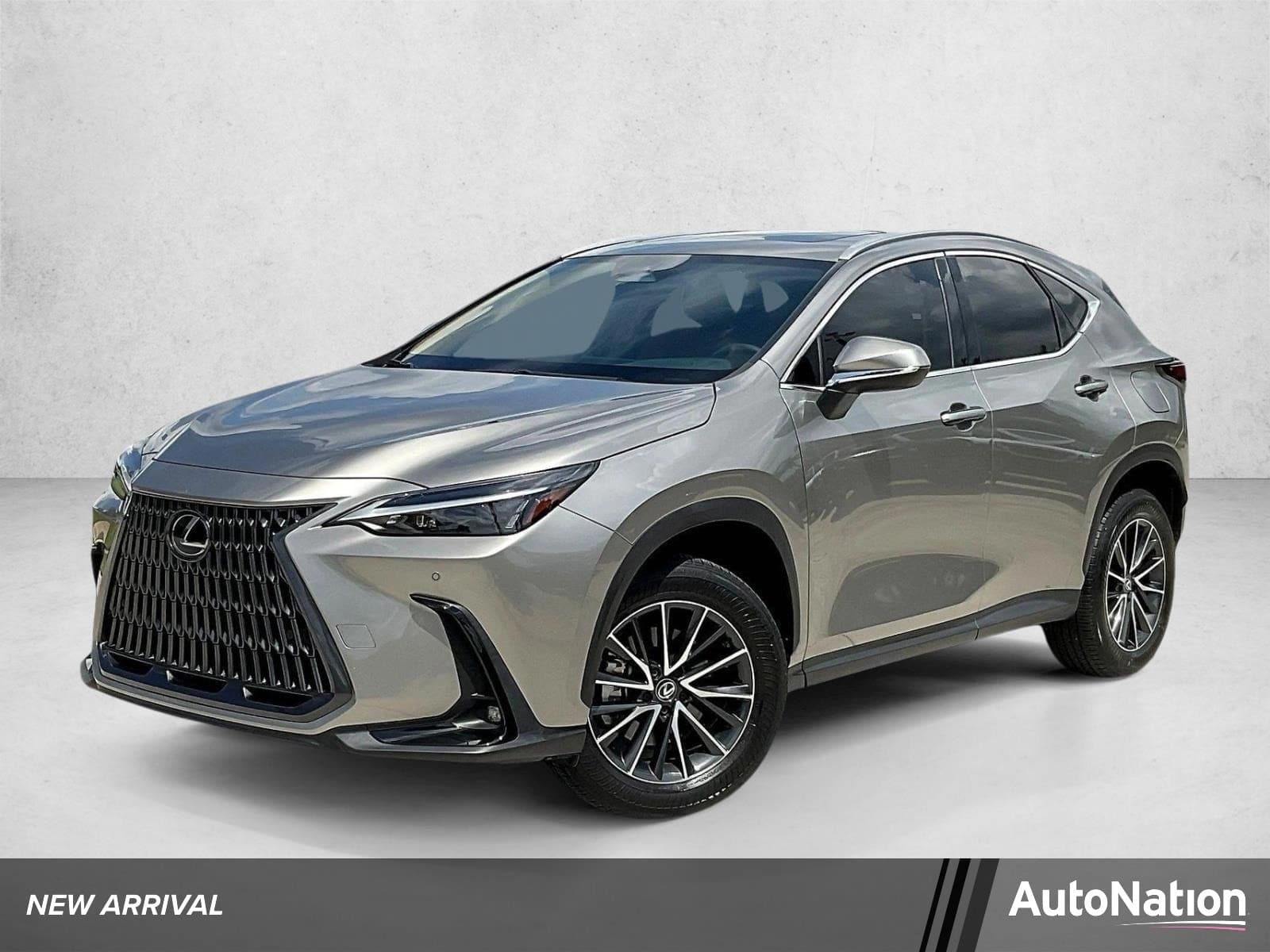 2025 Lexus NX NX 250 Premium — photo 1 of 30