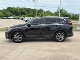 Extra Photo