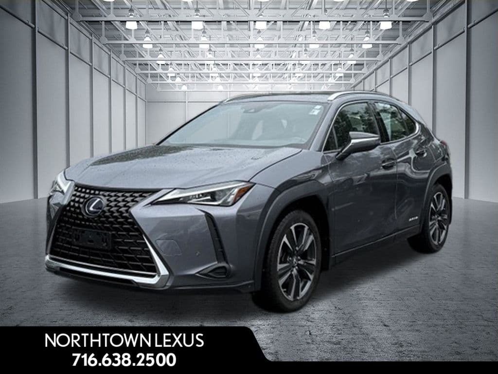 2021 Lexus UX UX 250h — photo 1 of 29