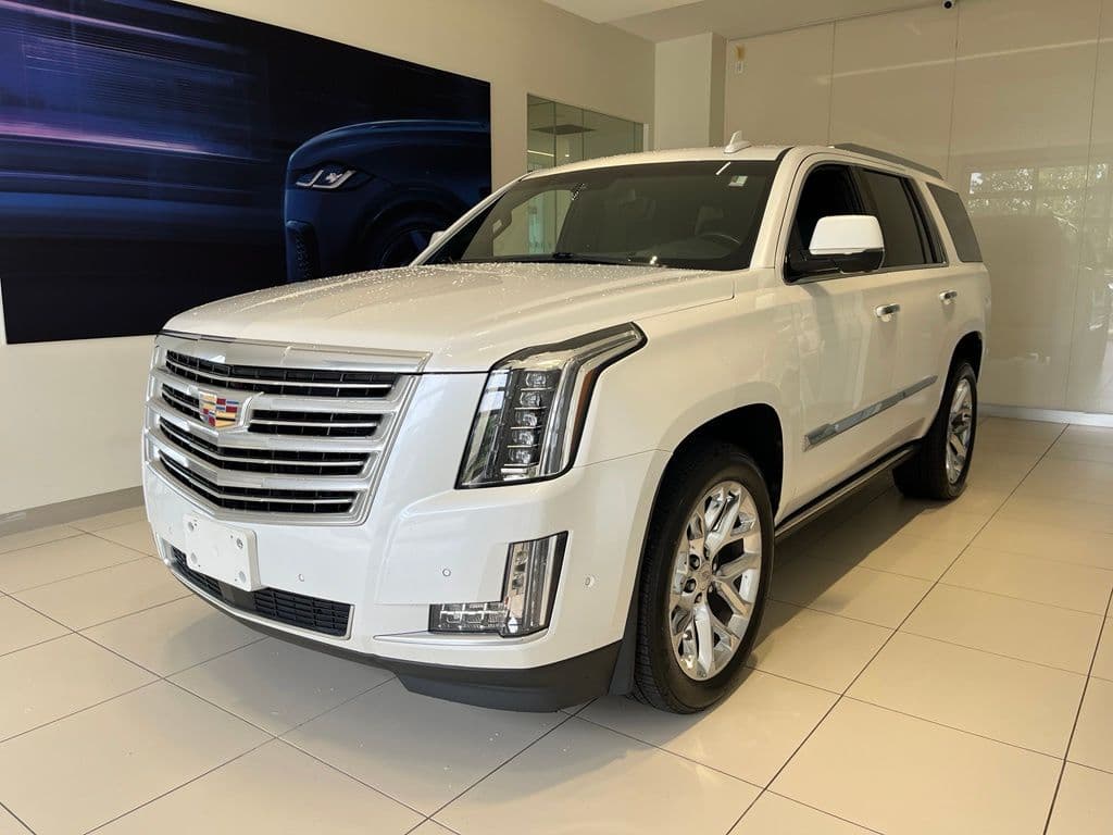 2019 Cadillac Escalade Platinum Edition — photo 1 of 53