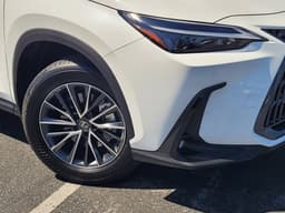 Extra Photo