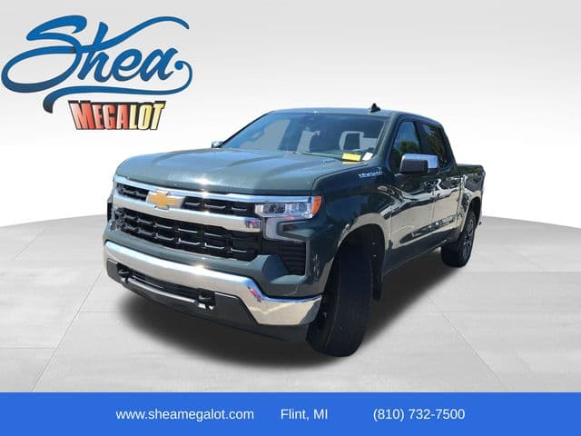 Vehicle Detail Icon