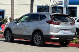 Extra Photo