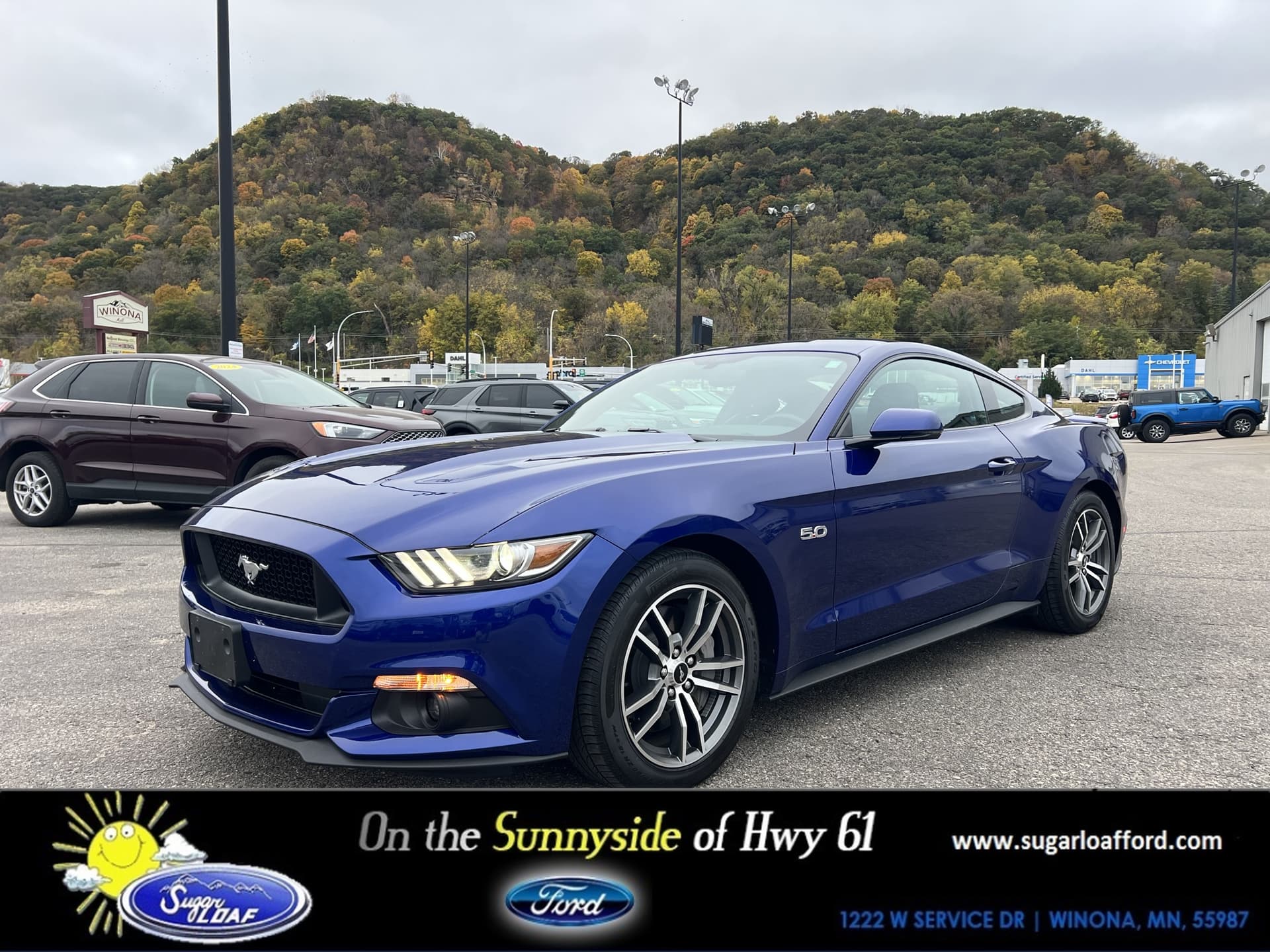 2015 Ford Mustang GT Premium — photo 1 of 20