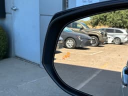 Extra Photo